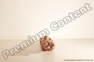 estera reference 04 21